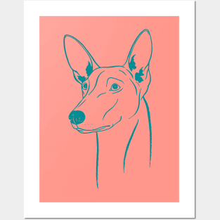 Pharaoh Hound (Coral and Teal) Posters and Art